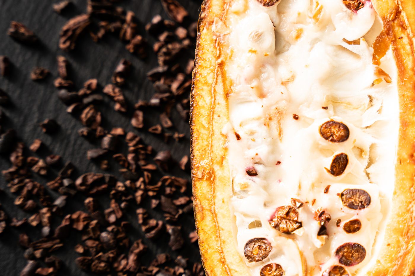 Cocoa pod and beans