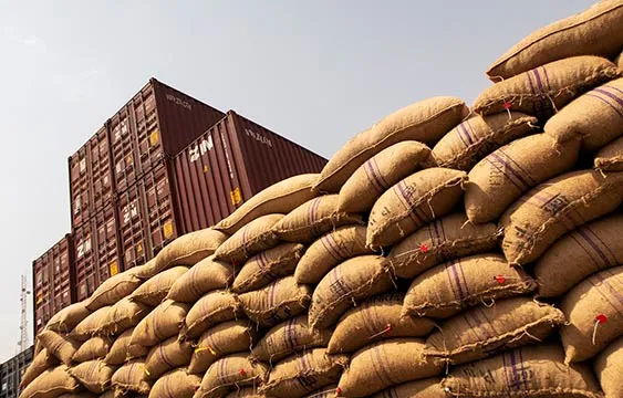 Sacs de fèves et conteneurs à l’export